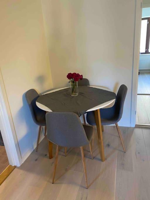 Moderne Midt I Sentrum Av Fredrikstad
