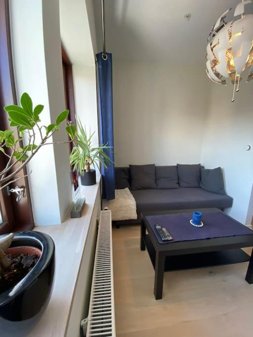 Lägenhet Moderne Midt I Sentrum Av Fredrikstad